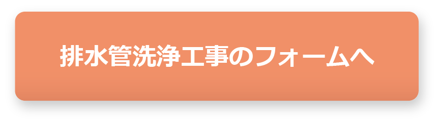 排水管洗浄工事専用フォーム